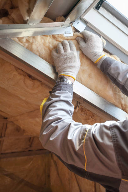 Attic Insulation Near Me in Fountainebleau, FL